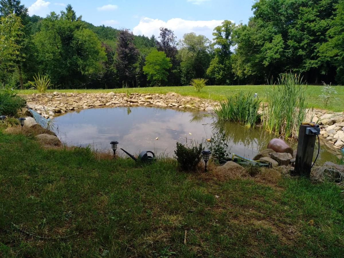 Pierre Deluen Domaine De La Grange De Quaire Bed and Breakfast Chassenon Εξωτερικό φωτογραφία