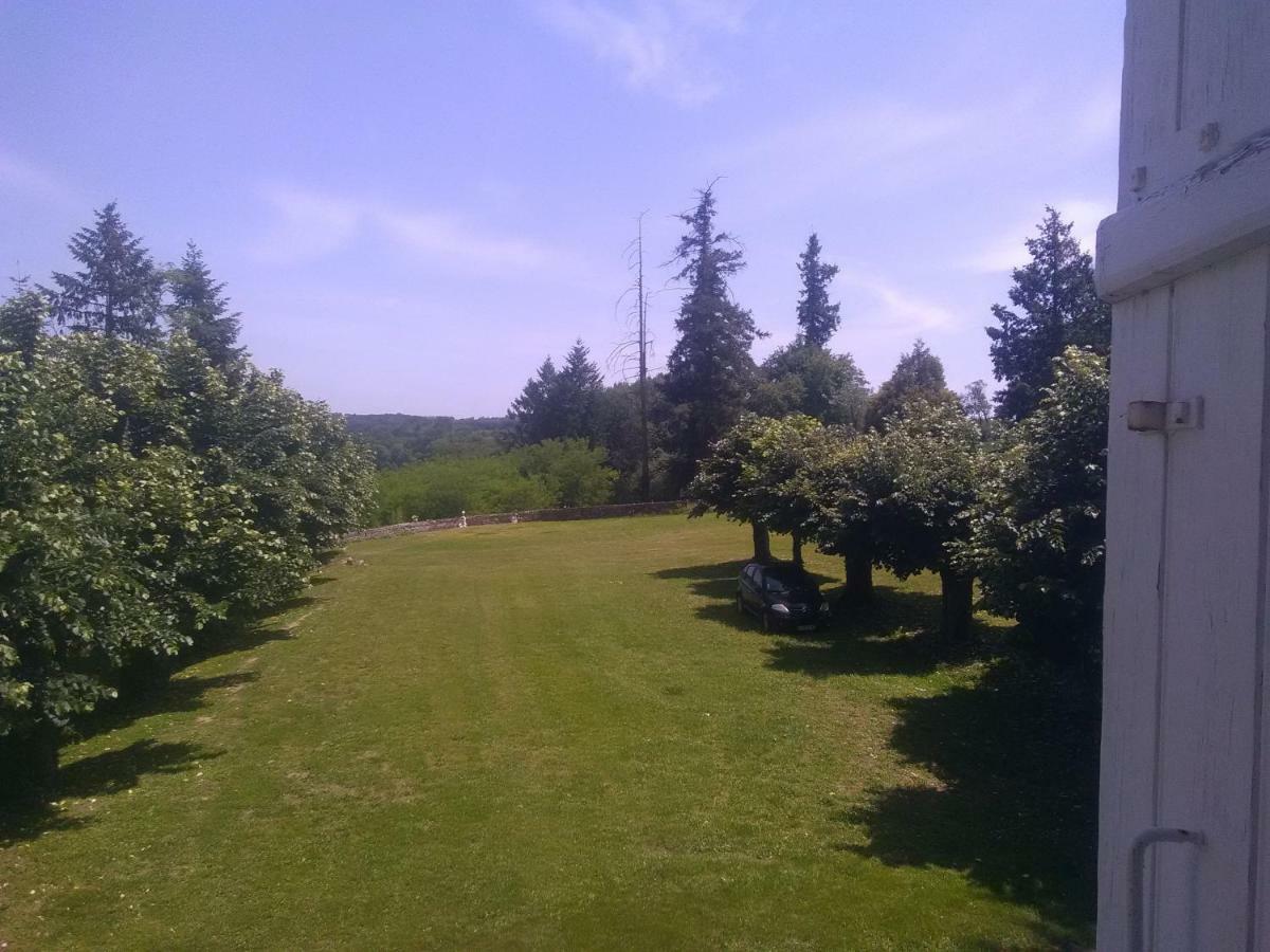 Pierre Deluen Domaine De La Grange De Quaire Bed and Breakfast Chassenon Εξωτερικό φωτογραφία